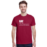 Gay - Like a Straight Person Only Way More Fabulous