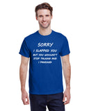 Sorry I Slapped You