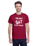 The Only Gay In The Village
