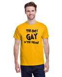 The Only Gay In The Village