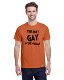 The Only Gay In The Village